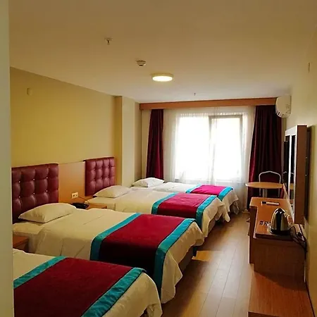 Bursa Sahin 3*