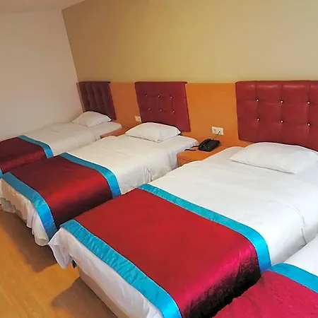 Bursa Sahin 3*